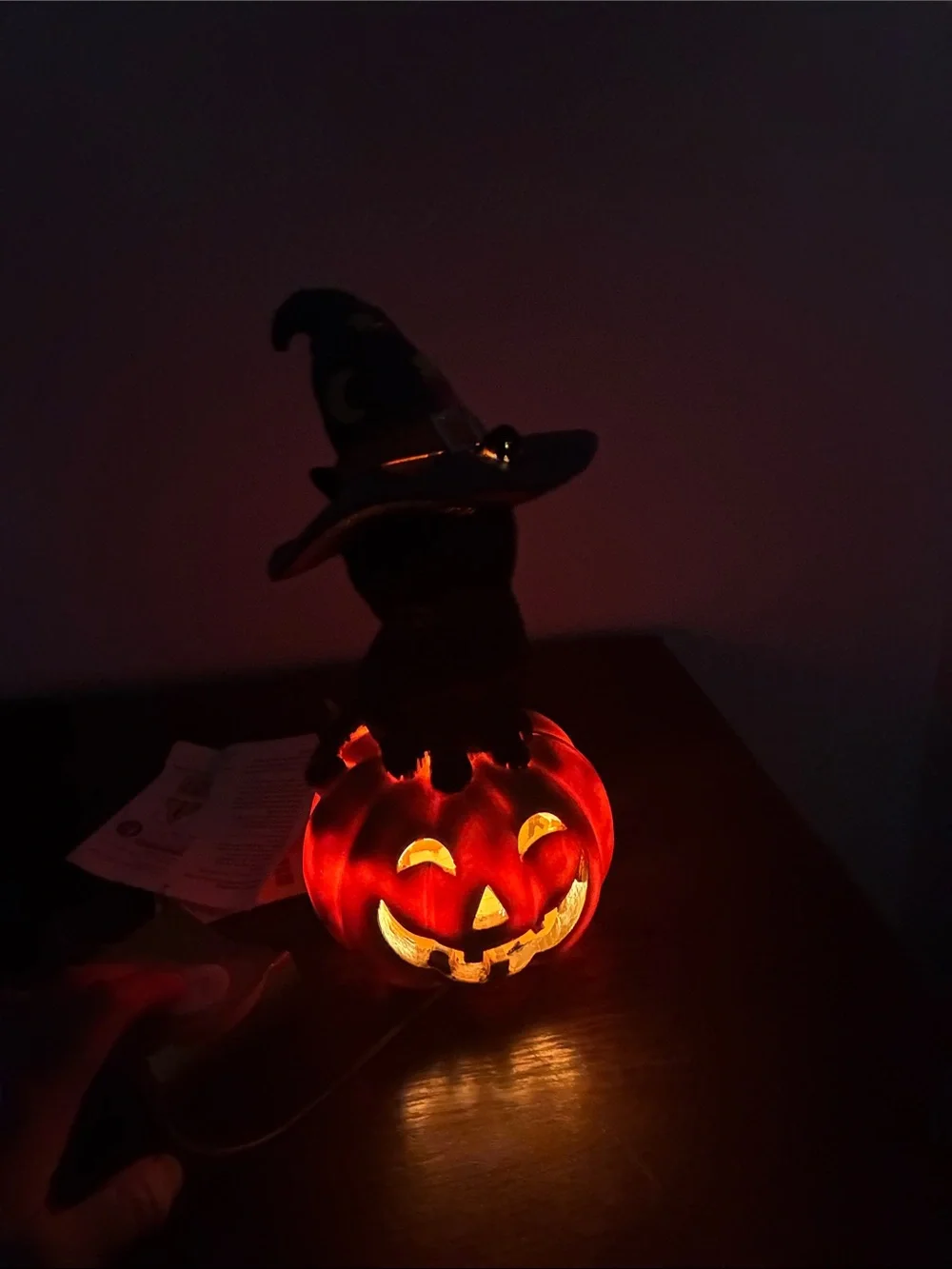 NWT- Black Cat w/ Purple Witch Hat on an LED Light Up Jack-o-lantern Pumpkin